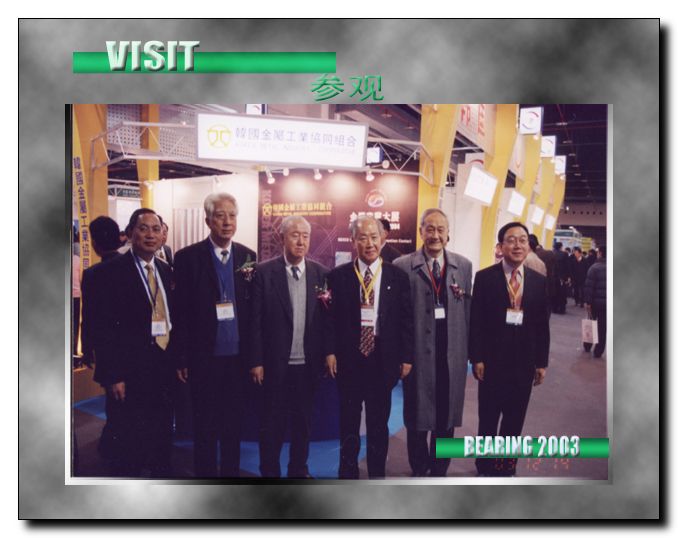 2003中国国际轴承及其专用装备展览会（第八届）